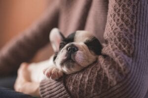 How to Get a Better Nights Sleep While Living with Multiple Sclerosis