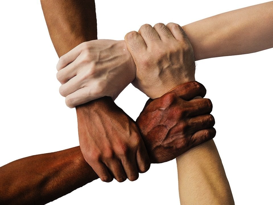 NORD Webinar: Diversity, Equity, Inclusion in Rare Disease Nonprofits