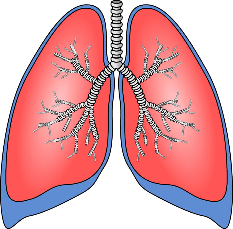 Researchers Find Effective Biomarker for Predicting Severity of Myositis-Associated Interstitial Lung Disease