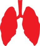 Nivolumab and Ipilimumab as a Treatment for Malignant Pleural Mesothelioma