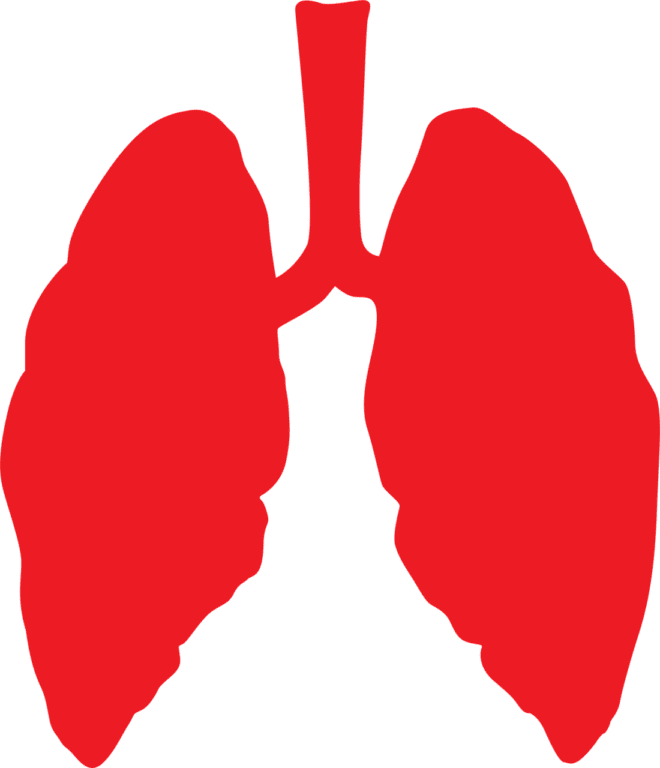 Estudio: ¿Cuál es el Papel de los Fibrocitos y las Células Progenitoras Endoteliales en la Sarcoidosis Pulmonar?