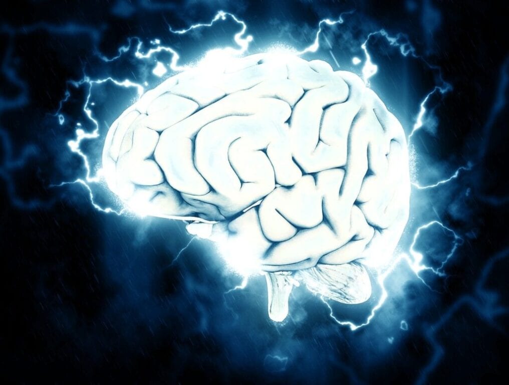Des Neuroscientifiques se concentrent sur les produits pharmaceutiques synthétiques pour rétablir les fonctions cognitives dans la maladie d’Alzheimer