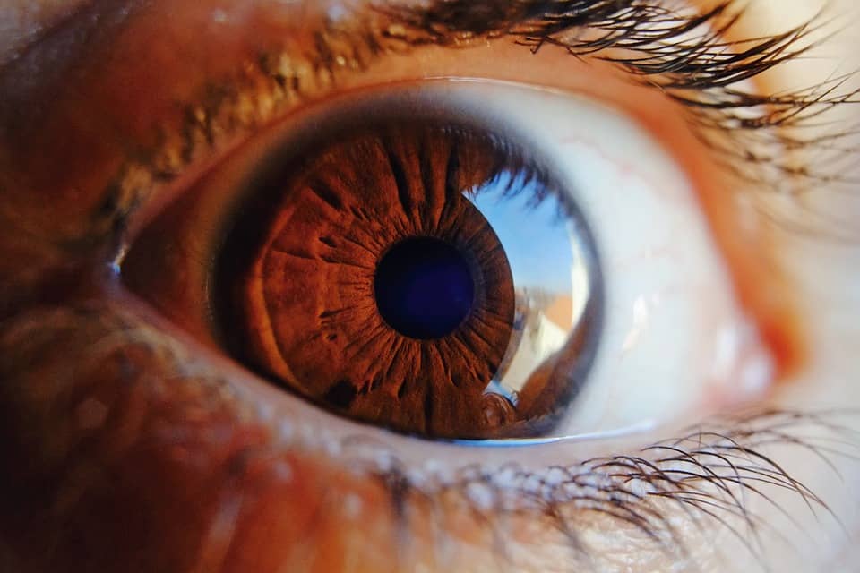 Problems with Eyesight Prevalent in Parkinson’s Disease as Patients Age, Study Finds