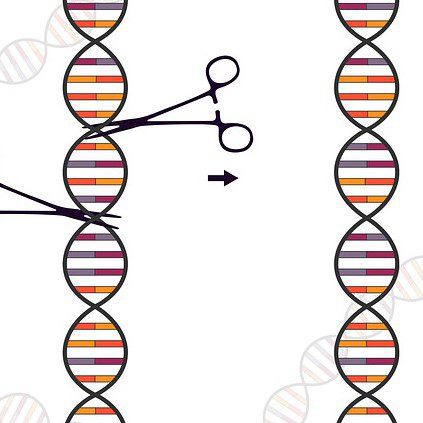 Il y a un outil de technologie CRISPR qui peut arrêter la progression de la drépanocytose et de la bêta-thalassémie