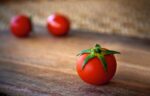 Could a Levodopa Enriched Tomato Be the Fix for Parkinson’s? 