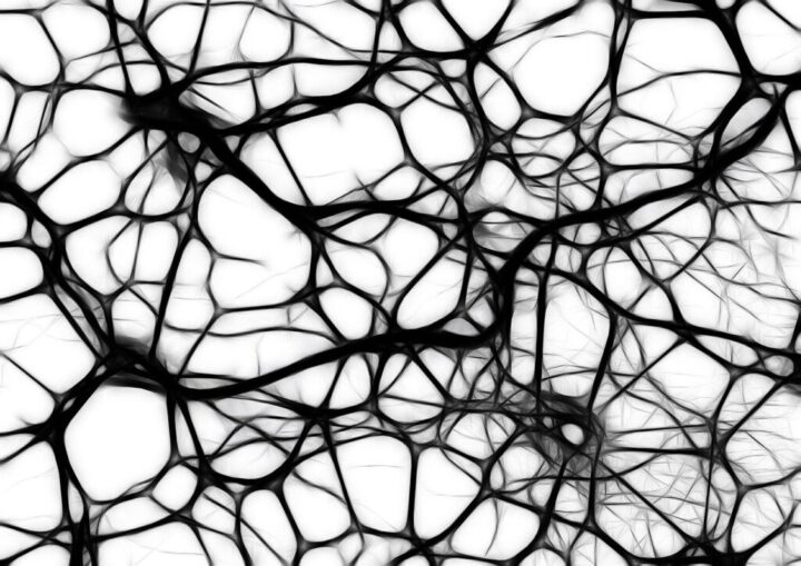 Una Lectora Responde: Un Parásito Común Con Un Nombre Poco Común: El Toxoplasma Gondii está Asociado con el Cáncer de Cerebro
