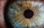 Study: One Wet Age-Related Macular Degeneration Drug Appears Superior to the Other