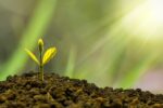 Sogroya Now Approved for Pediatric Growth Hormone Deficiency (GHD)