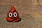 Fecal Transplants Gave New Life to This Doctor with Recurrent C. Difficile Infections