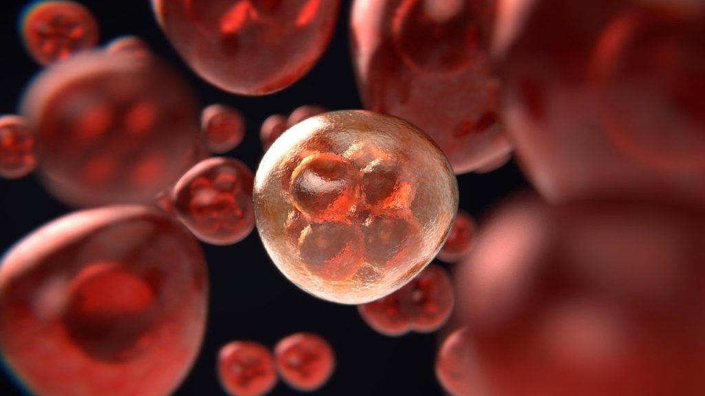 Положительные Промежуточные Результаты Исследования Ранней Серповидно-Клеточной Болезни