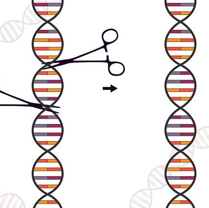A Breakthrough Using CRISPR’s Gene Editing Technology to Cure a Genetic Disorder
