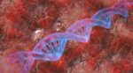 FDA Halted Phase 3 Trial for Cerebral Adrenoleukodystrophy Due to Participant Developing MDS
