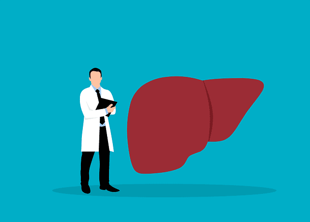 Study: Understanding the Outcomes of NAFLD and NASH