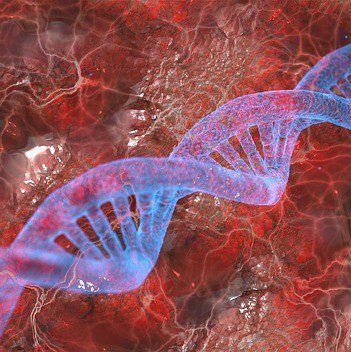 CRISPR/Cas9 Gene Editing Adds Ultrasound Therapy for Hepatocellular Carcinoma to its List of Possibilities