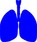 Positive Phase 1 Trial Results for Systemic Sclerosis-Associated Interstitial Lung Disease Treatment