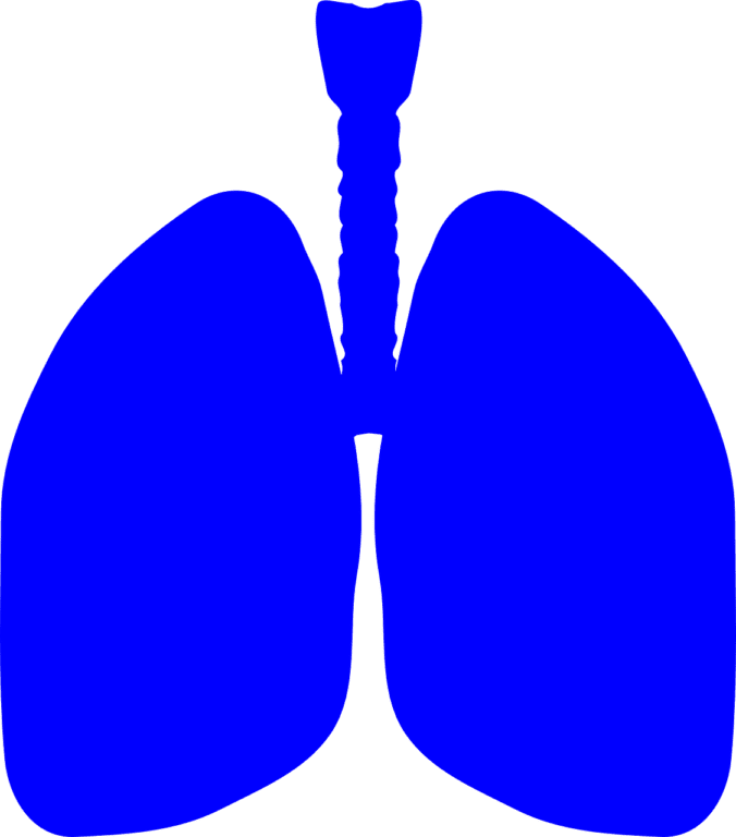 Positive Phase 2 Trial Results Released for Idiopathic Pulmonary Fibrosis Treatment