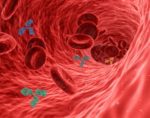 Researchers Determine Effective Therapeutic Candidates for Crimean-Congo Hemorrhagic Fever
