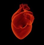 Transthyretin Amyloidosis: CRISPR-Cas9 Technology Shows Results in a Single Treatment