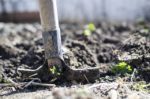 Researchers Discover Potential New Rare Cancer Drug in Soil Bacterium