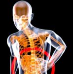 Study: H. Pylori in a New, Beneficial Role in Inflammatory Bowel Disease