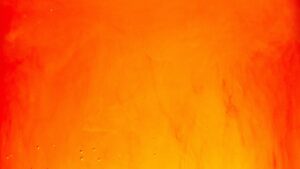 Agent Orange Exposure During Vietnam War Related to Heightened Bladder Cancer Risk