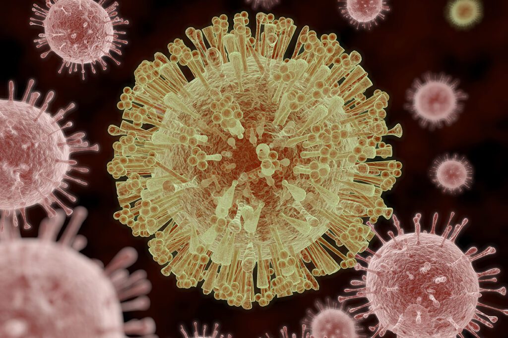 Zika Virus Could Stop Prostate Cancer Spread, Study Shows – But It Has a Dangerous Side Effect
