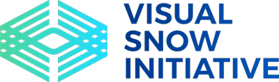 VSI-Logo