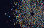 The Future of Disease Understanding Starts with Listening