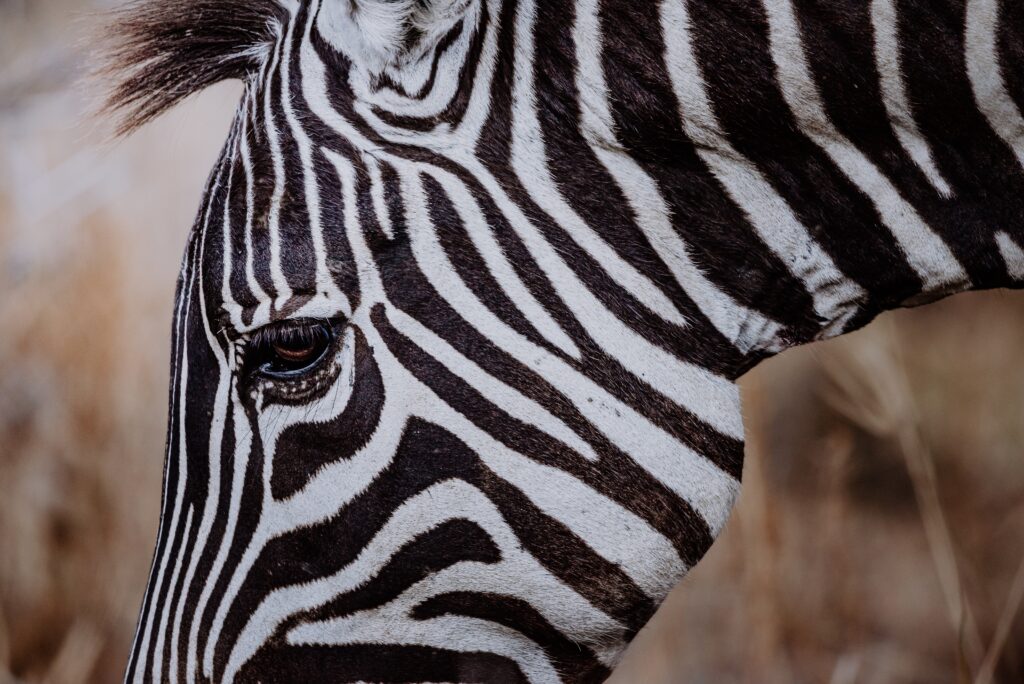 “I Am A Chronic Illness Warrior” – Pashondra’s Journey With Ehlers-Danlos Syndrome