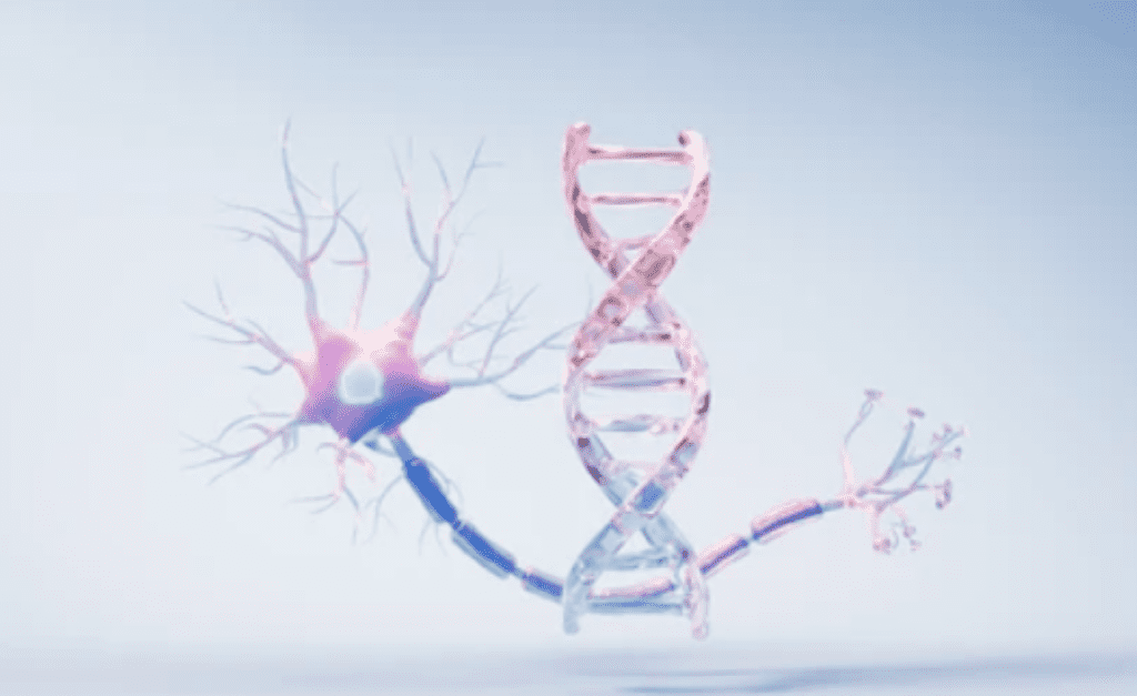 Gene Therapies for Rare Diseases: How Accelerated Approval Is Shaping the Future