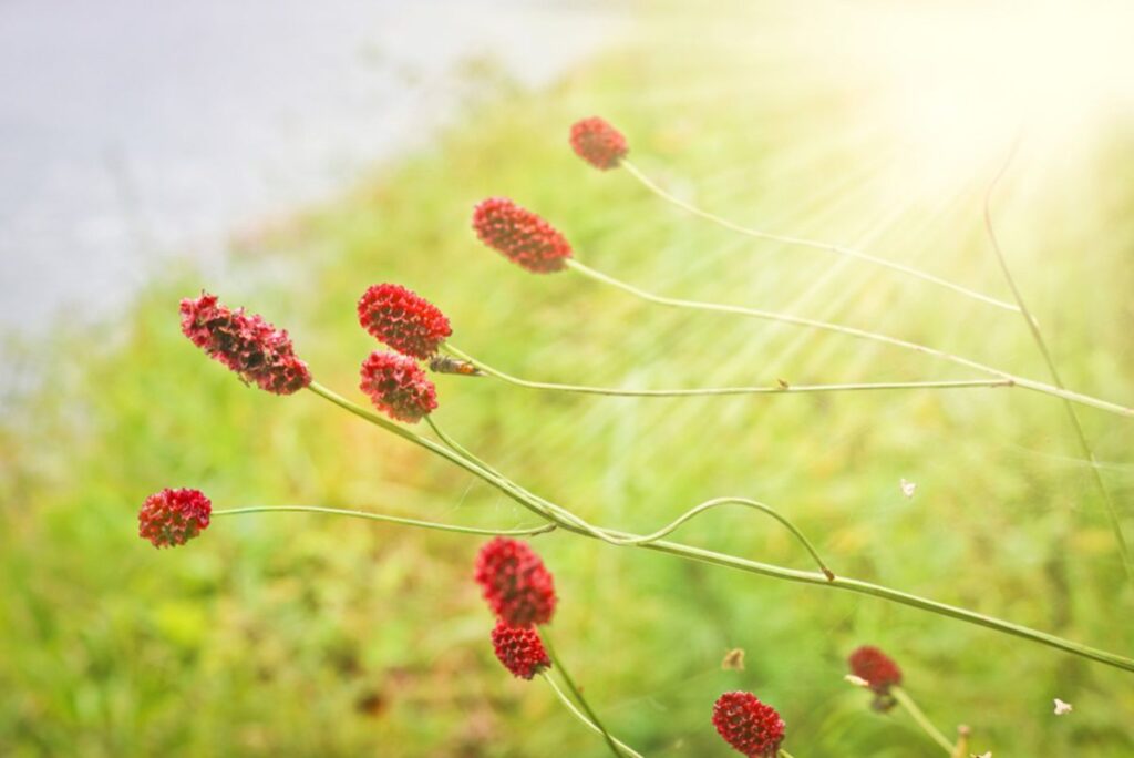A Groundbreaking Step: First NHS Patient Receives Hemgenix Gene Therapy for Hemophilia B