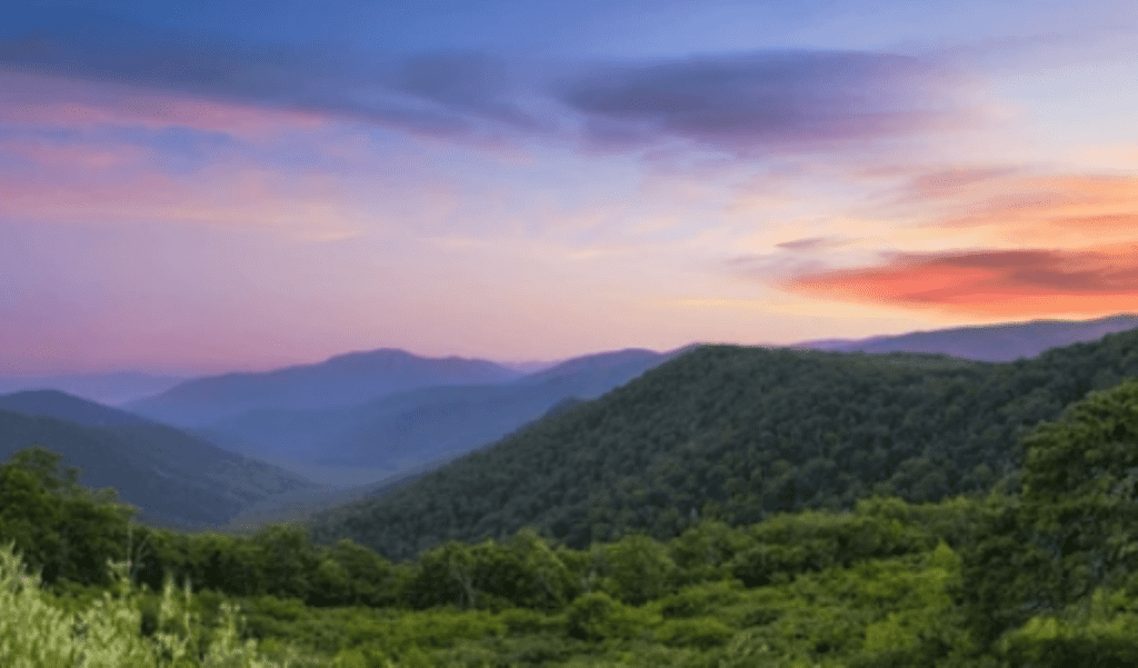 From the MS Community of Southwest Virginia: Gratitude for Dr. Jill Cramer