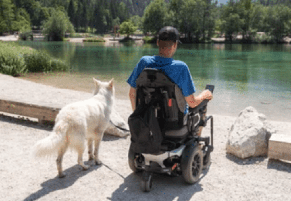 Muscular Dystrophy: Experimental Stem Cell Therapy Generates New Heart Tissue