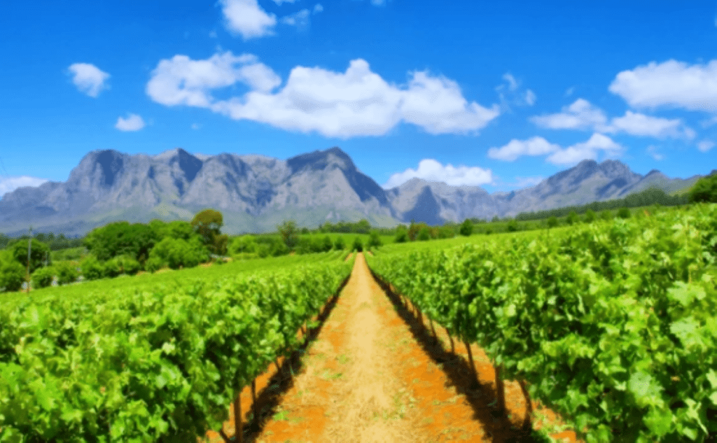 Joburg Woman Walks 35 Days to Cape Town, Raising Rare Disease Awareness for Her Husband