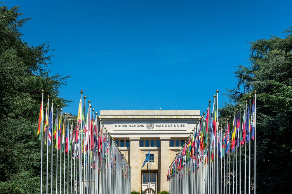 Global Health Milestone: United Nations Adopts Landmark Resolution on Rare Diseases