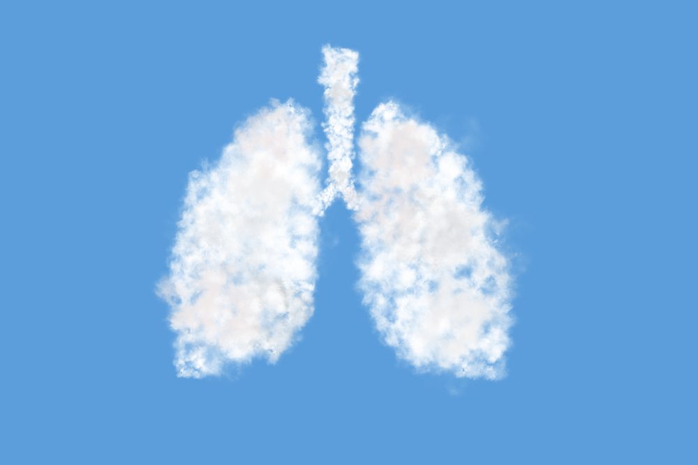 Global COPD Prevalence and Disease Burden Show Significant Regional Differences