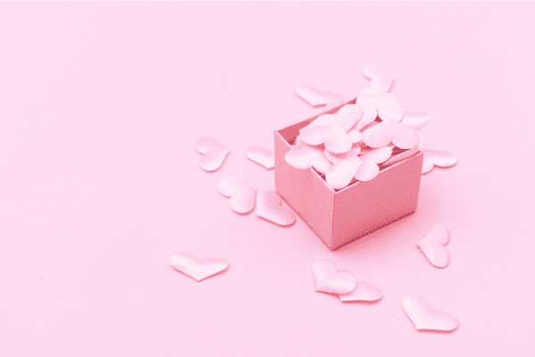 Heart in a Box – a new technique for heart transplantation