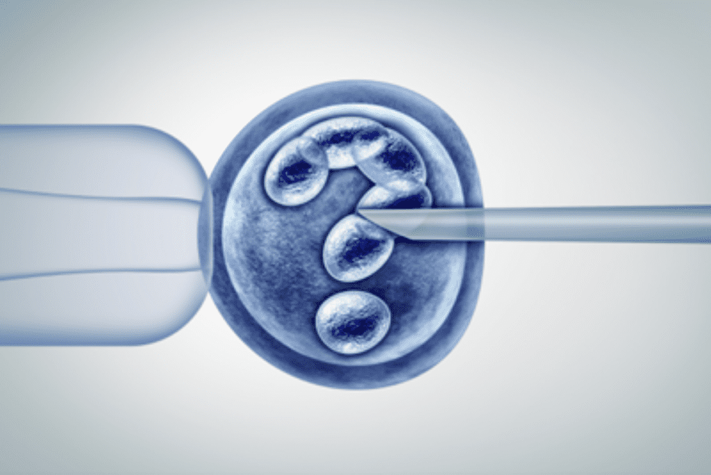 Two-Vector CNS Gene Transfer Delivers Early Gains in Tay-Sachs and Sandhoff