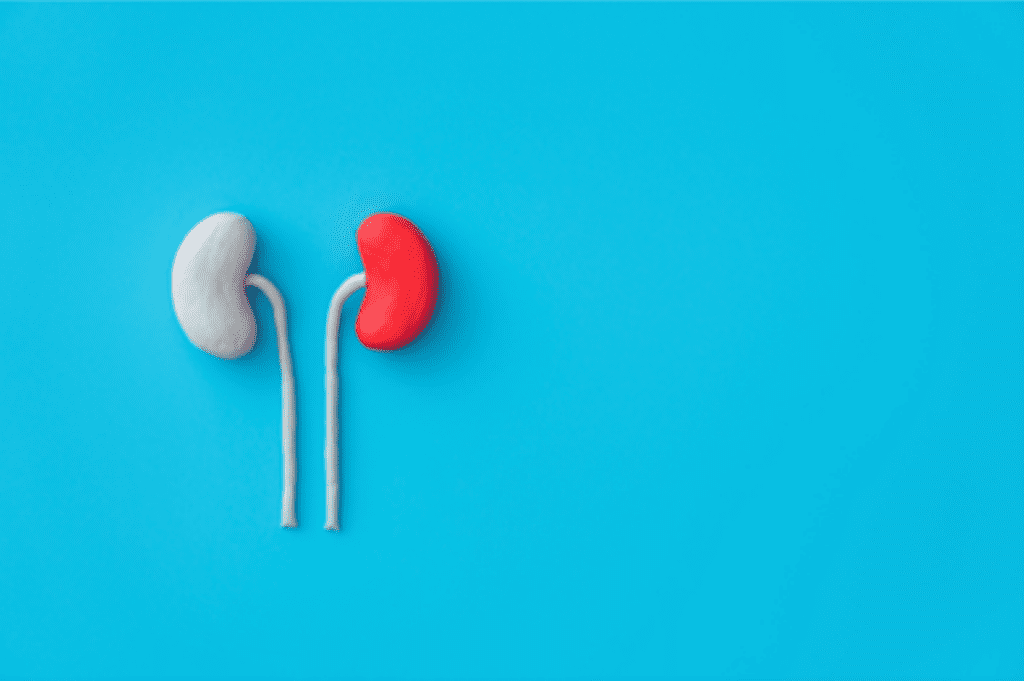 FDA Expands Empaveli Approval to Treat Rare Kidney Diseases, Offering New Hope