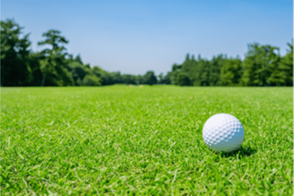 Living Near a Golf Course: A Golfer’s Dream (Or So We Thought)