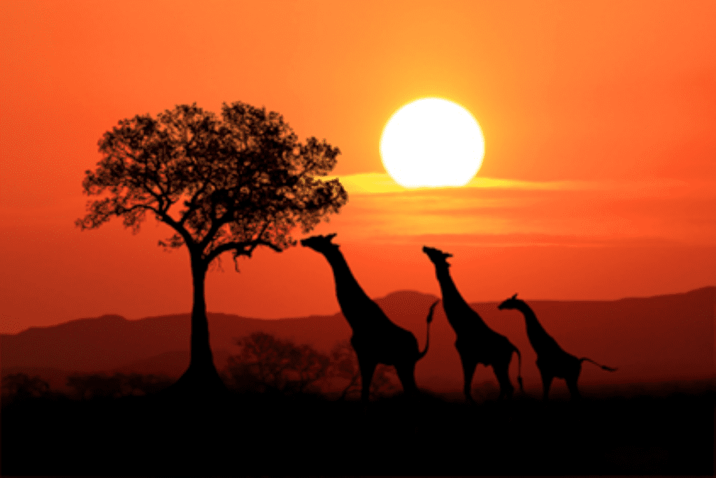 AstraZeneca Expands into Rare Disease Care in South Africa, Bringing New Hope to Patients