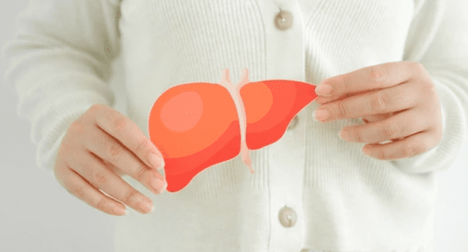 Madrigal Reports Encouraging 2-Year Data for Treating Cirrhosis