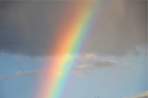 September 2025 Urothelial Cancer Update: New Therapies, Diagnostics, and Expert Perspectives Lead the Way