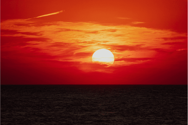 From Scars to Strength: My Journey Toward Visibility and Healing