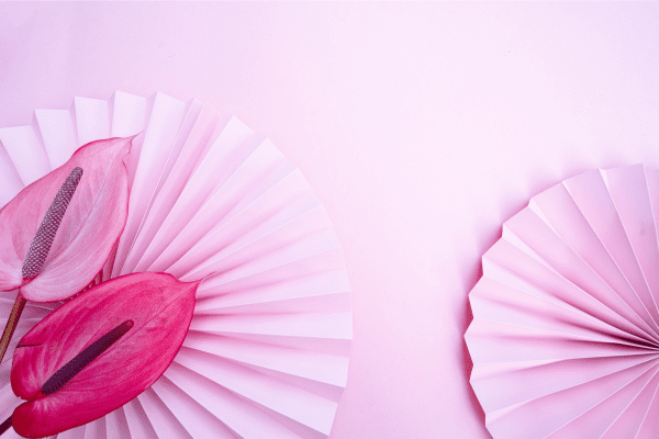 Rethinking Hormone Replacement Therapy After Breast Cancer: Experts Advocate for Patient-Centered Choices