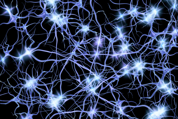 What’s Missing From Many Surgeries? The Answer Might Be Your Nerves