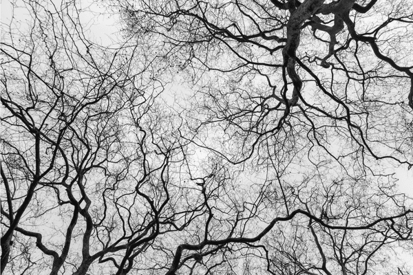 What’s Missing From Many Surgeries? The Answer Might Be Your Nerves