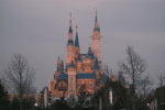 An Unexpected Liver Transplant Part 4 – The Journey to Disney World