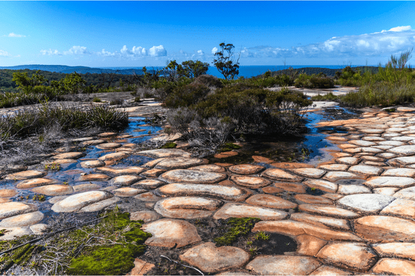 FDA Officially Green-Lights First Gene Therapy for Wiskott-Aldrich Syndrome