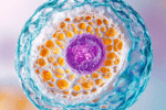 British Columbia Researchers Develop a System to Reduce Ovarian Cancer by 80%